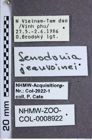 Etiketten zu Senodonia jeanvoinei (NHMW-ZOO-COL-0008922)